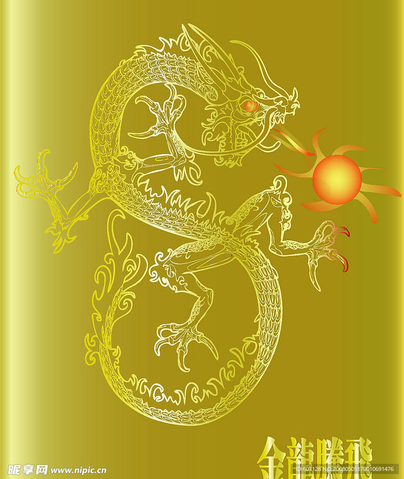 金龙腾飞-