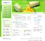 韩国药品网页模板