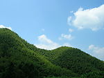 竹子山