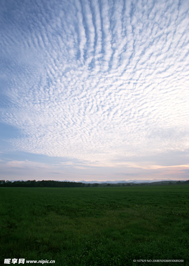 原野天空