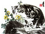 花猫