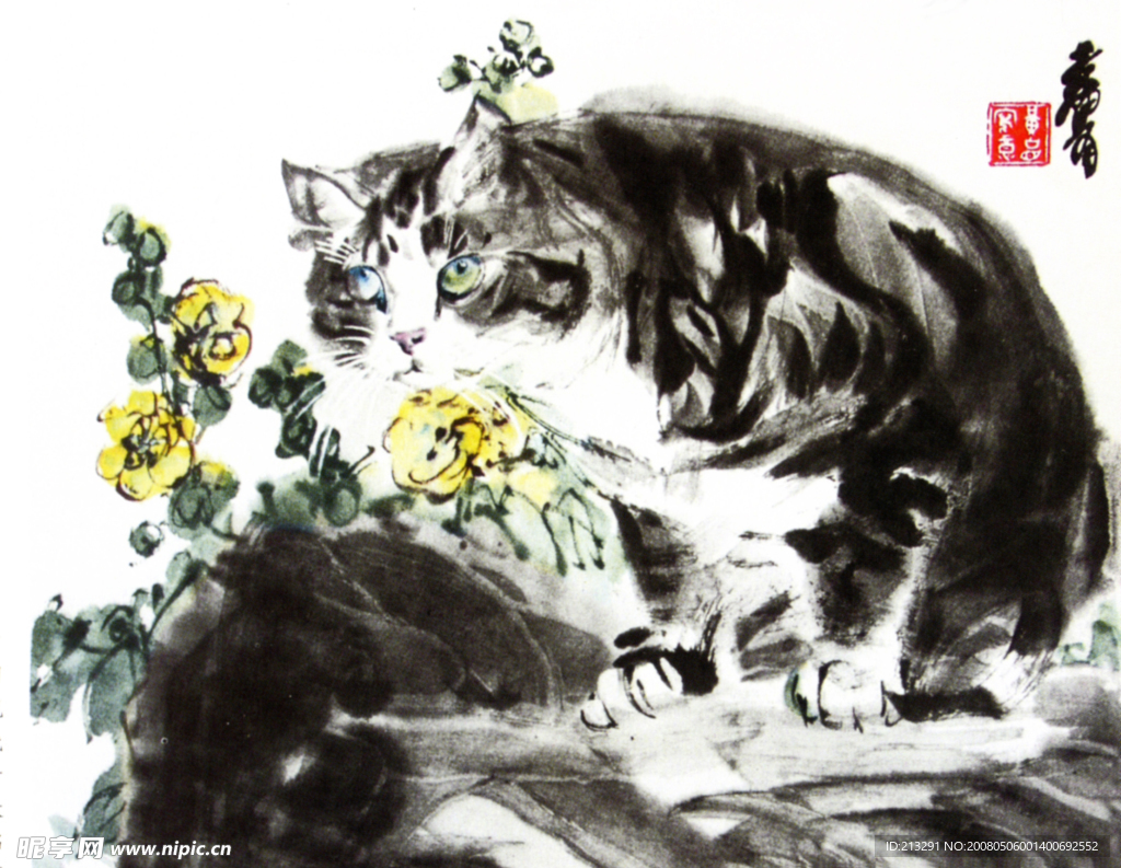 花猫