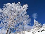 冰天雪地