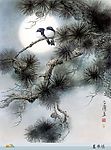 花鸟