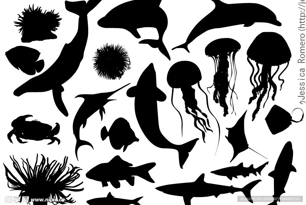 海洋生物