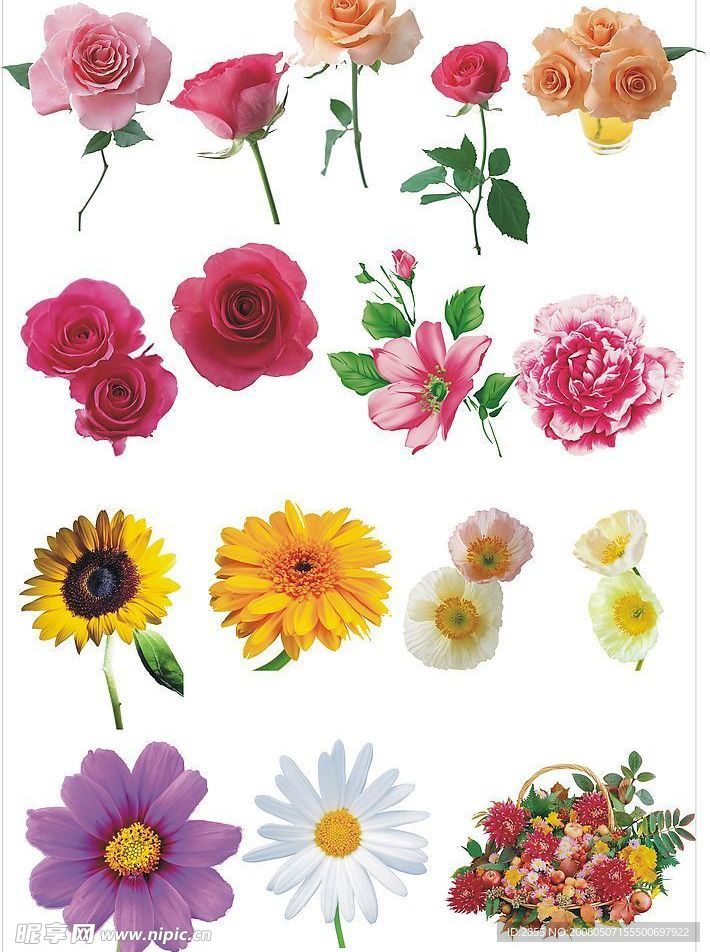 高精度精美鲜花
