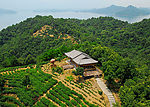 庐山西海茶岛