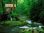 林中小屋