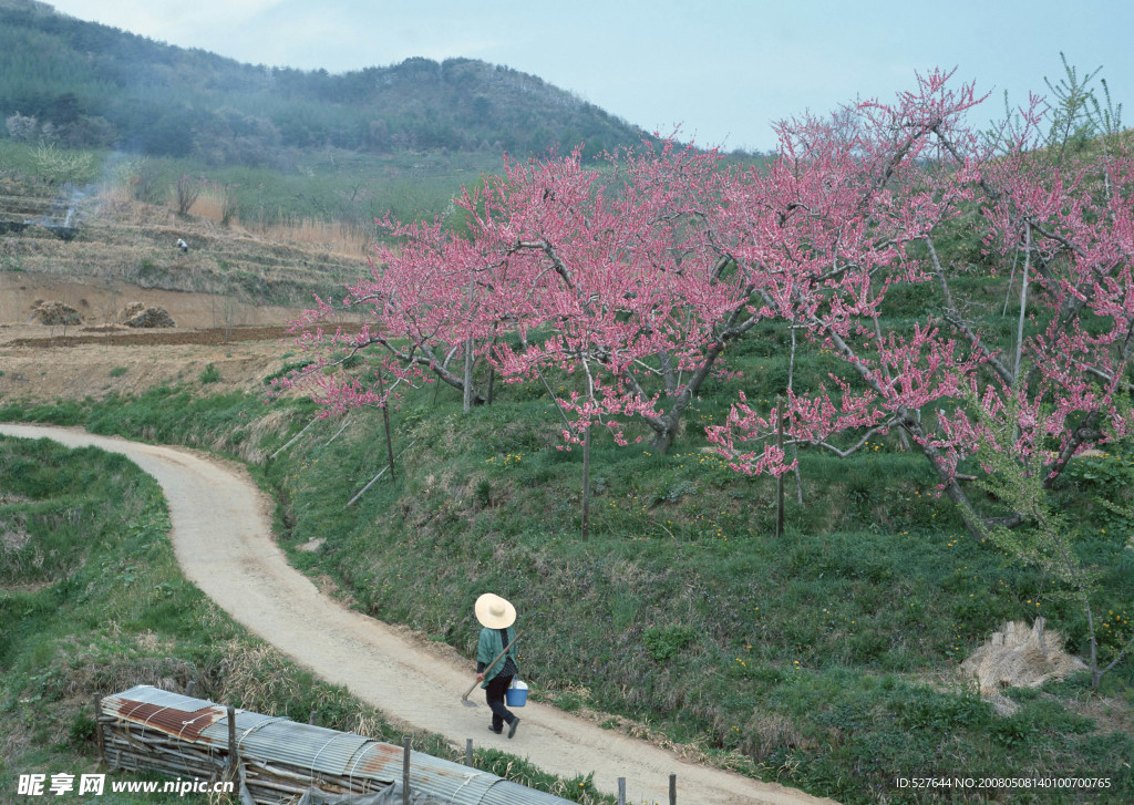 上山的路