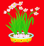 花盆1
