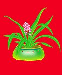 花盆2