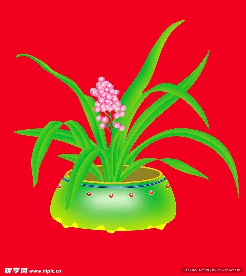 花盆2