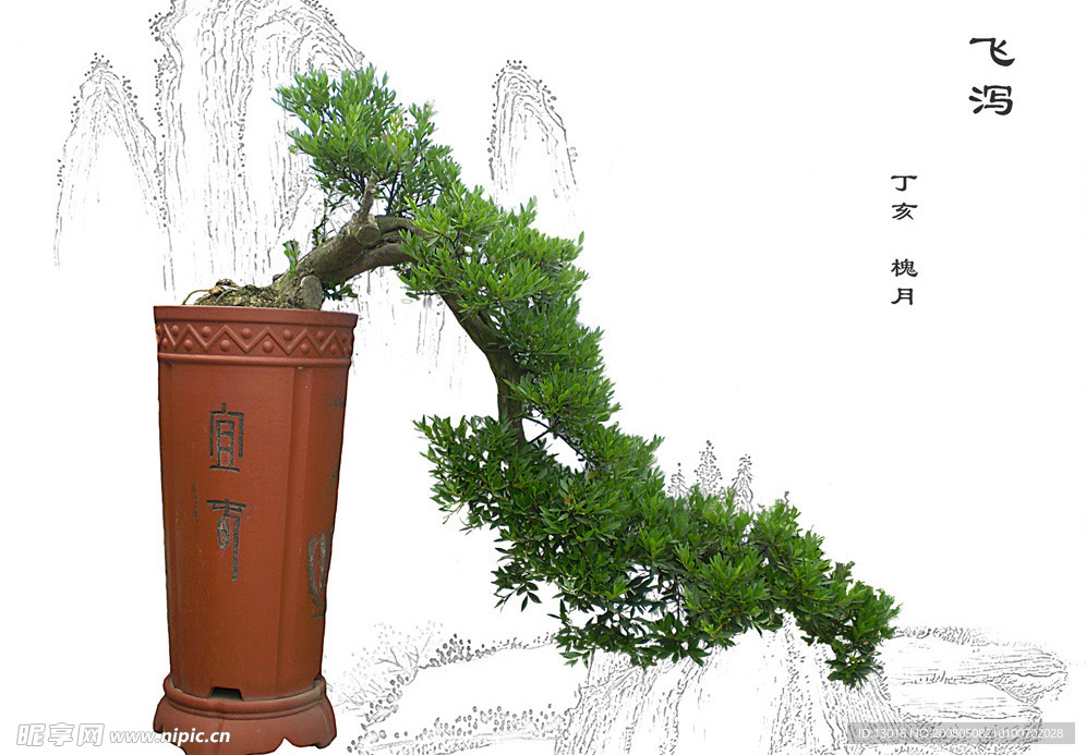 飞泻