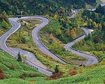 盘山道 道路