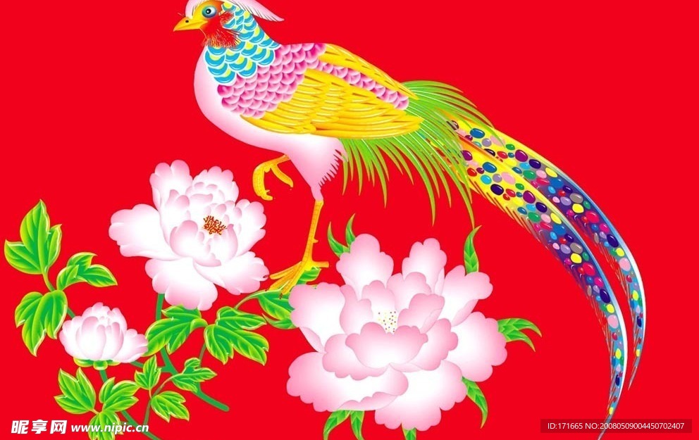 花鸟5