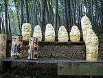 竹海风景图