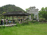 草绿山清