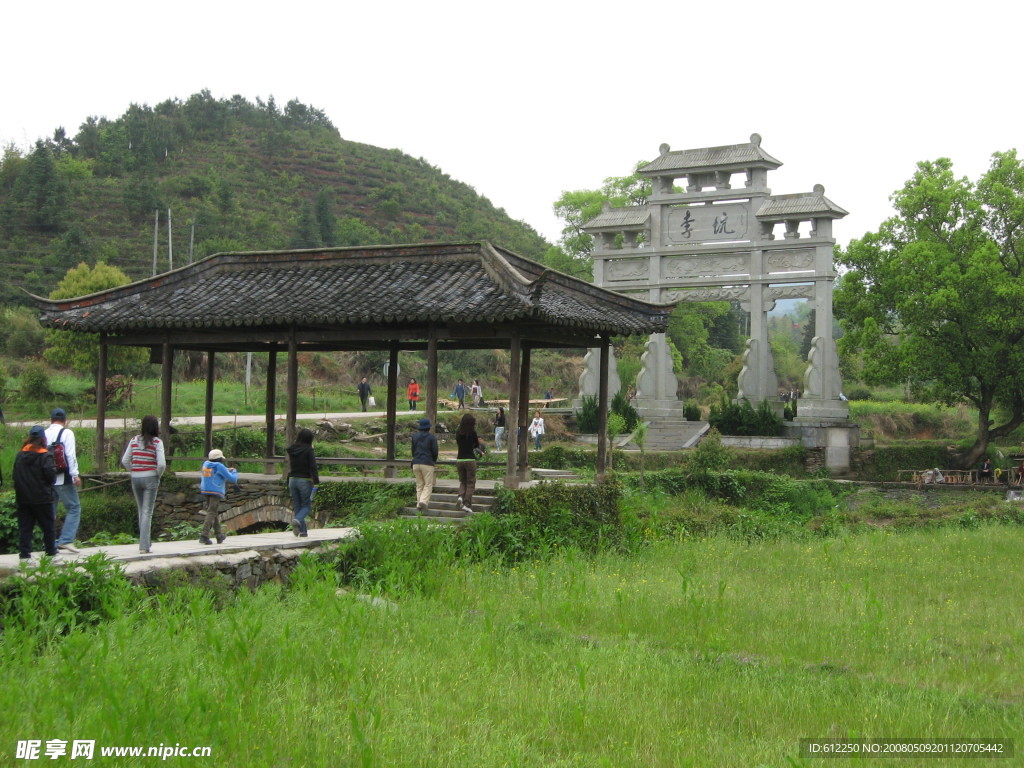 草绿山清