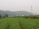 田园风光