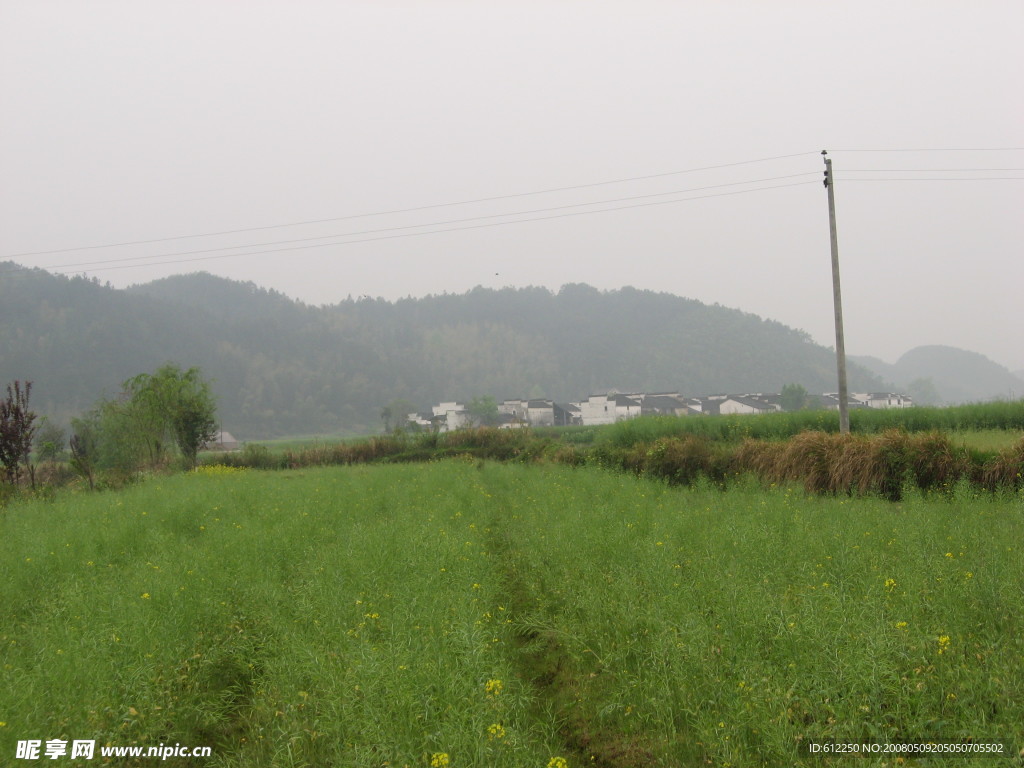 田园风光