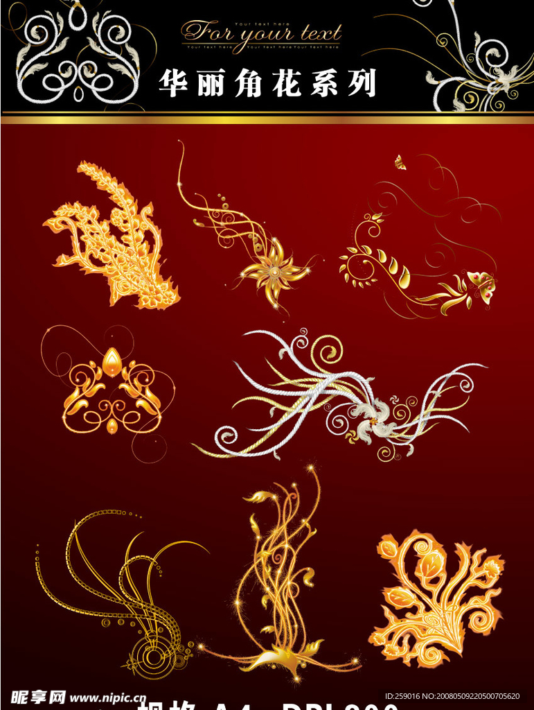 华丽角花 花纹6
