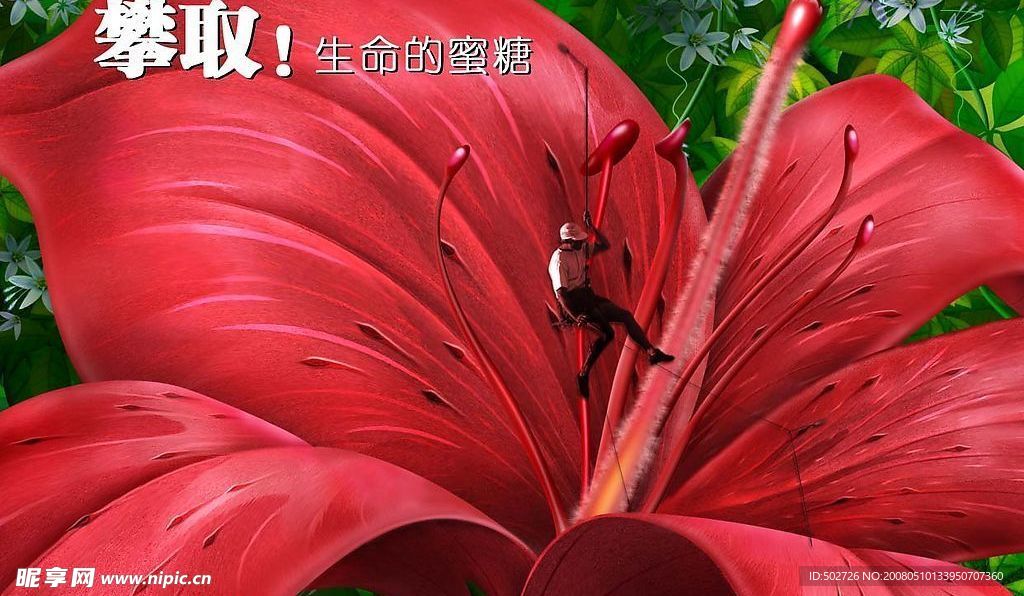 攀取蜜糖