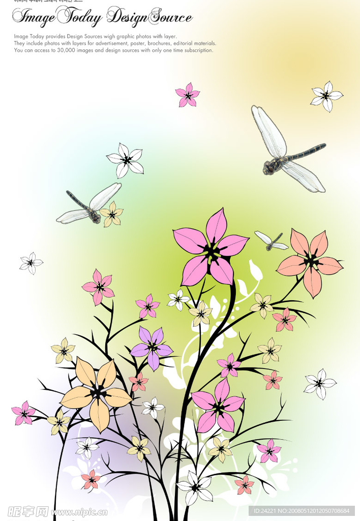 蜻蜓和花