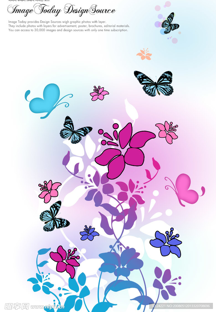 蝴蝶和花