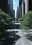 都市里的路