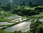 山乡醒来