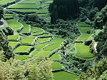 绝美乡野