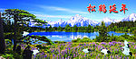 松鹤延年