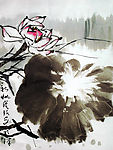 国画荷花