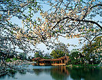 西湖山色美景