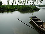夏日池塘