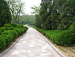 郁郁葱葱花石路