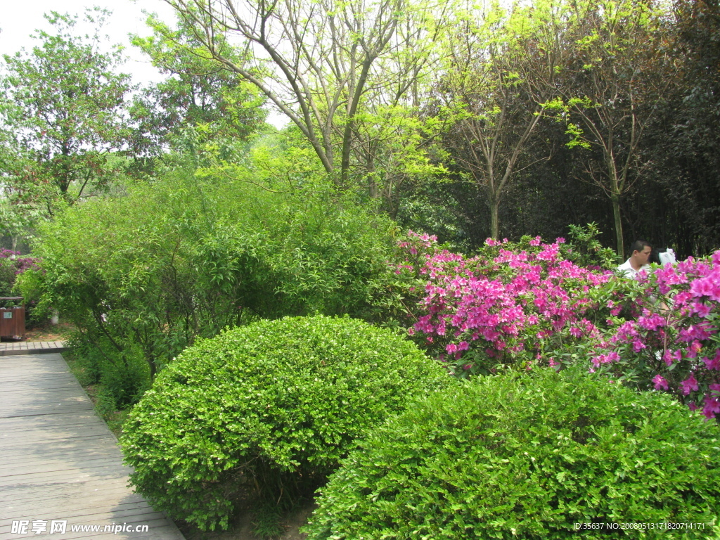 黄山湖公园