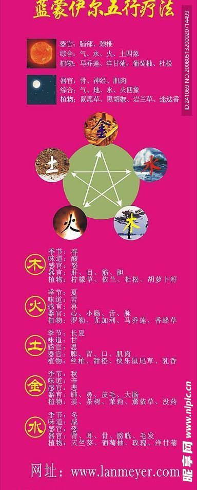 中医五行X展架