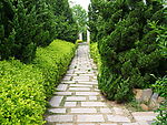 条石林荫路