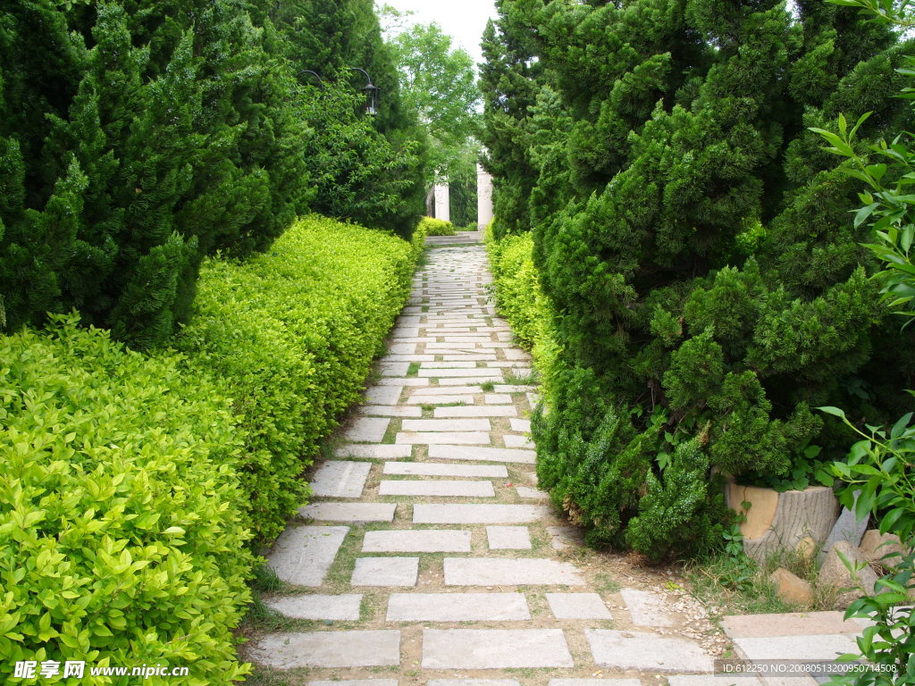 条石林荫路