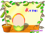 豌豆宝宝