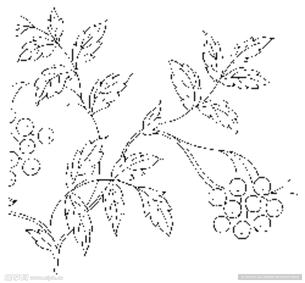 植物3
