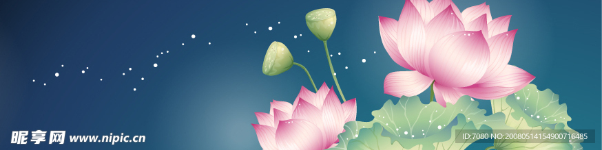 荷花