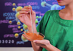 医学研究