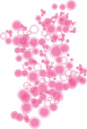 矢量手绘花纹