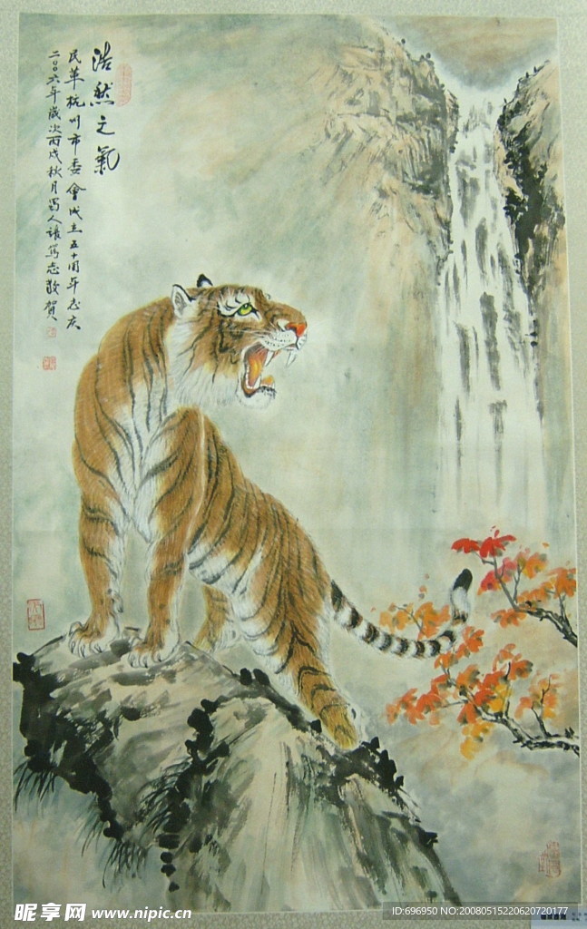 猛虎上岗