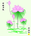 荷花