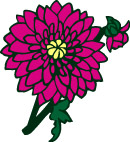 漂亮的花