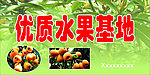 水果