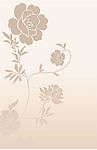 花纹1